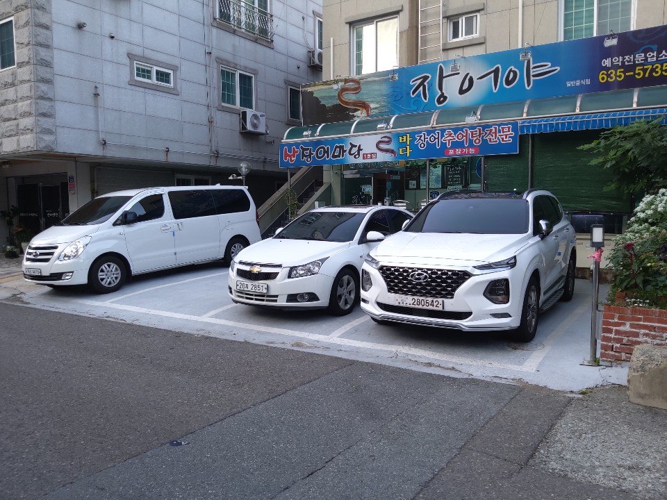 장어야
