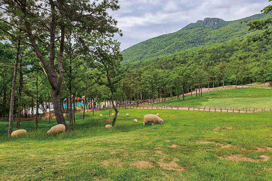 숲소리공원
