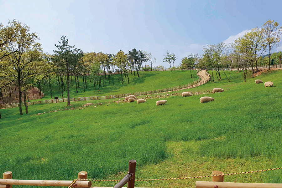 숲소리공원