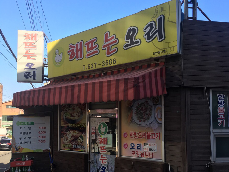 해뜨는오리