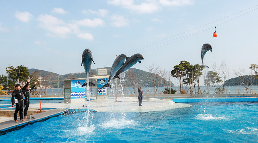 거제씨월드