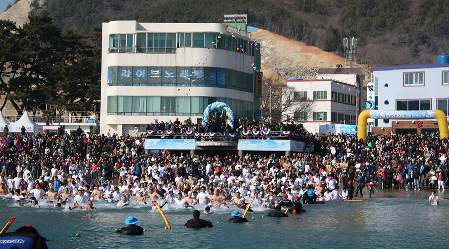 거제도 국제펭귄수영축제