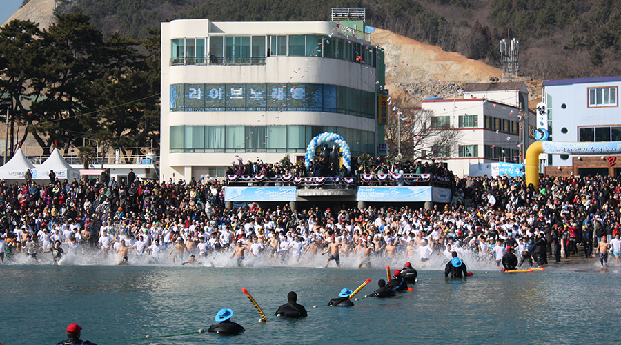 거제도 국제펭귄수영축제