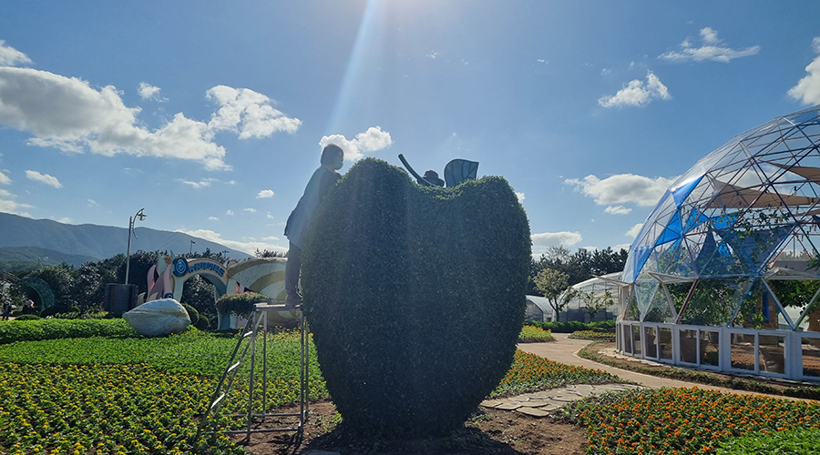 거제섬꽃축제