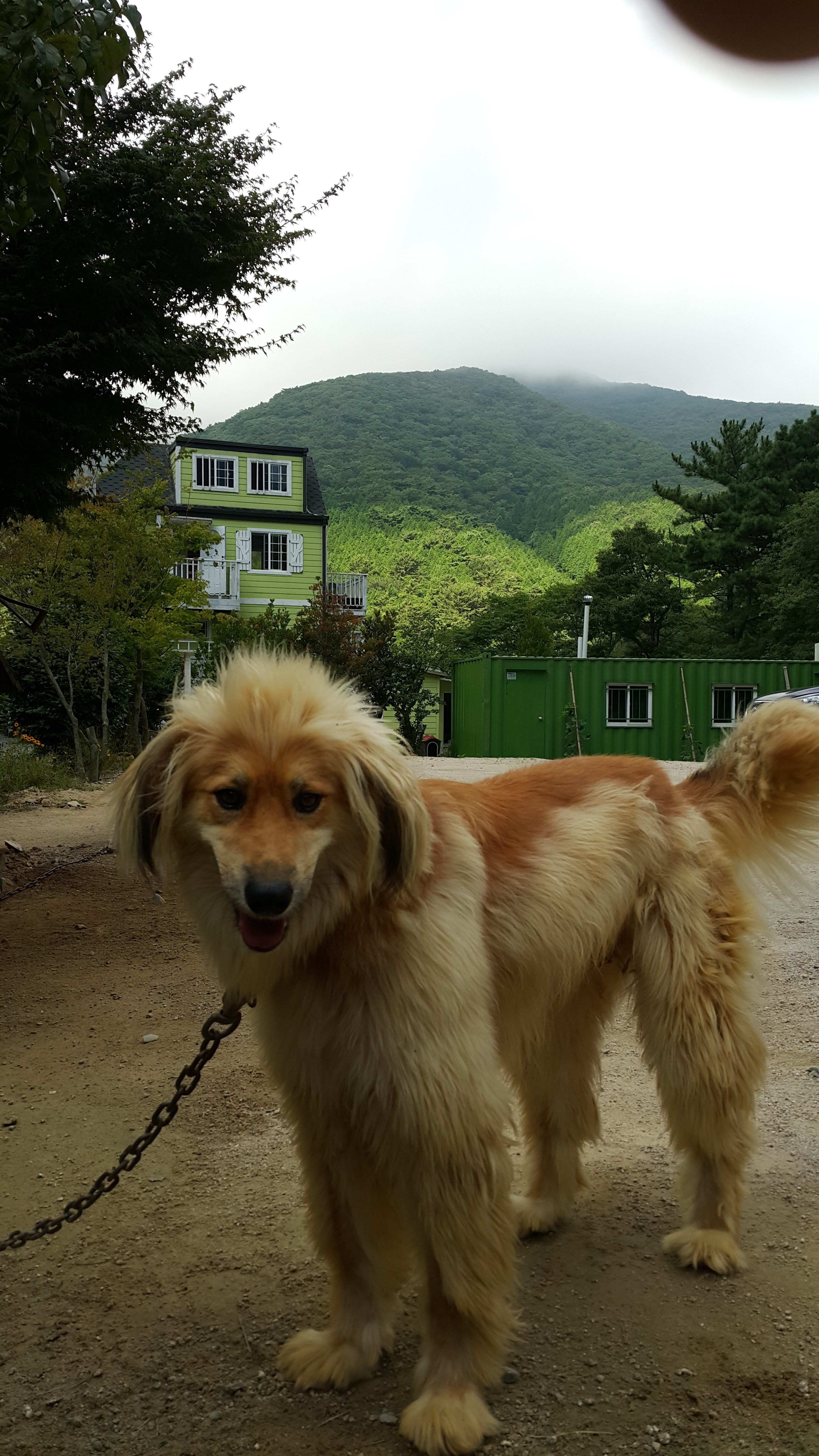 거제여행 > 숙박 > 어촌체험 > 상세보기 거제핀란드빌리지펜션 3