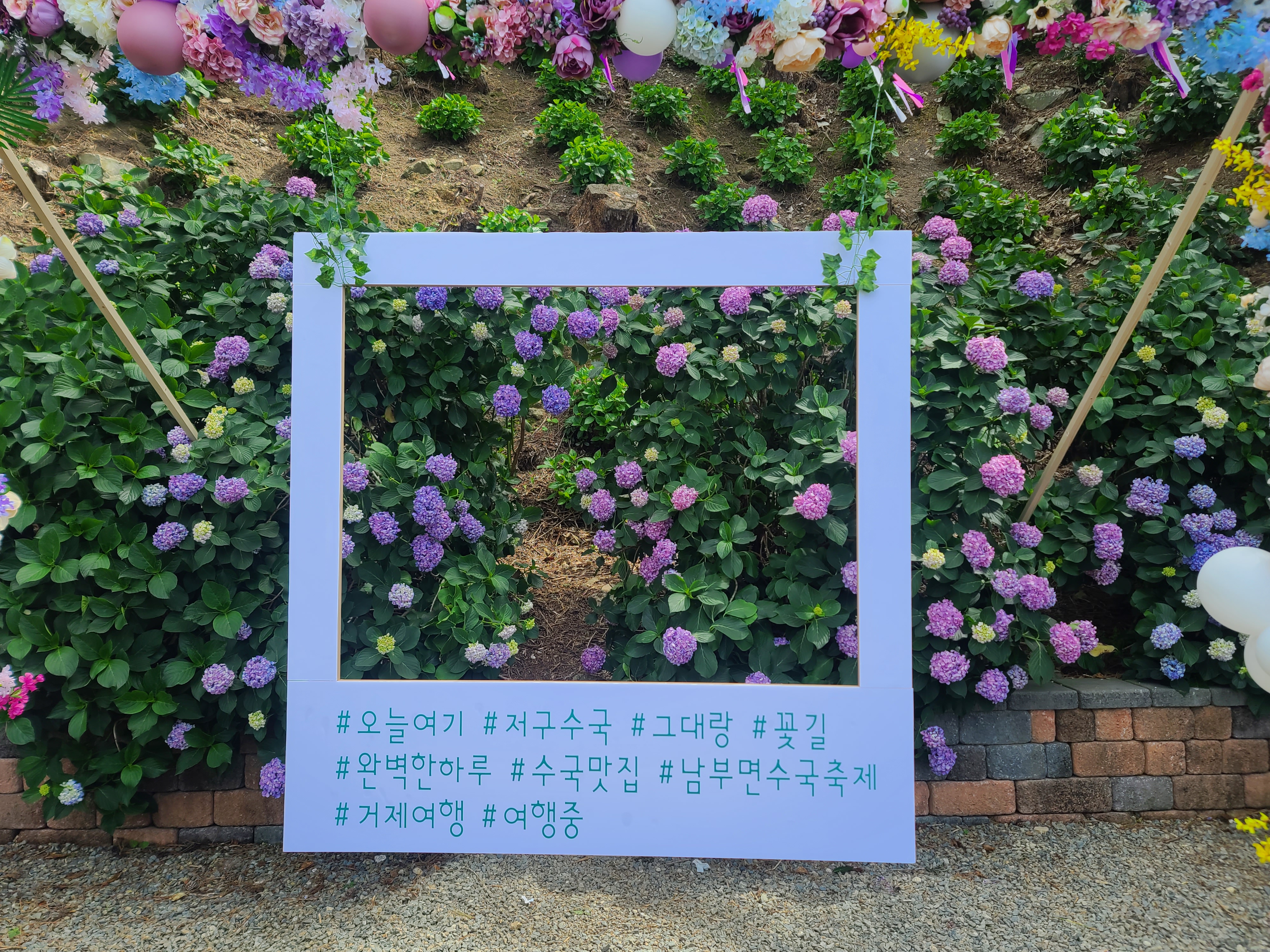 남부면 수국동산에서 이미지
