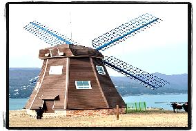 영화에서 나올법한 풍차, 바람의 언덕