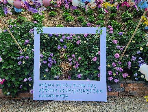 남부면 수국동산에서