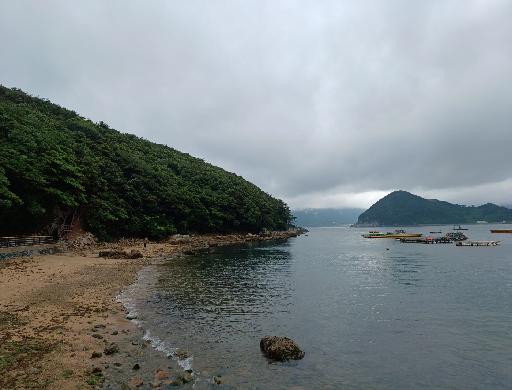 곰시끝 전망대와 귀여운 아기새♡