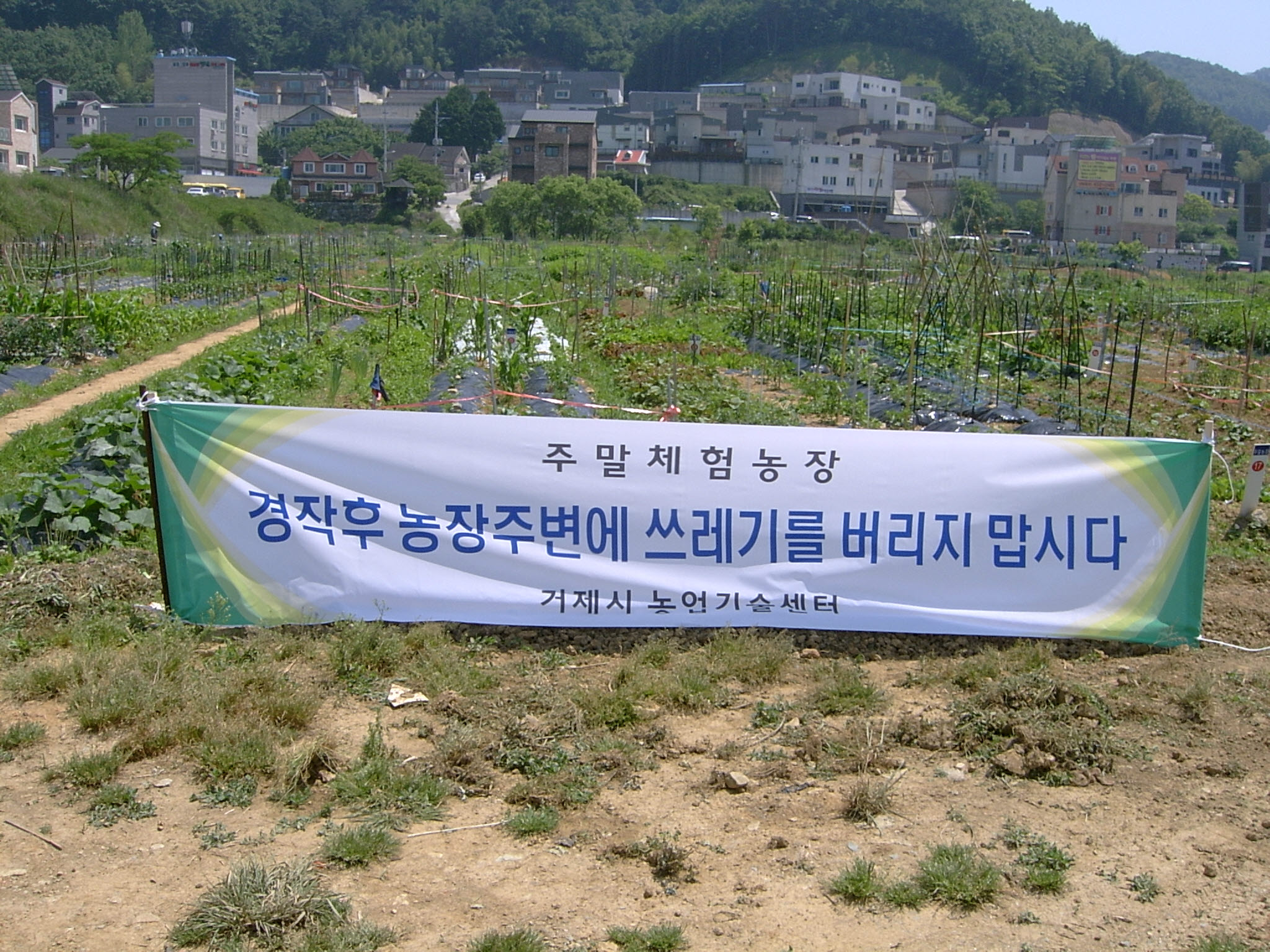 2020년 도시민 주말농장 신청 및 분양안내 이미지