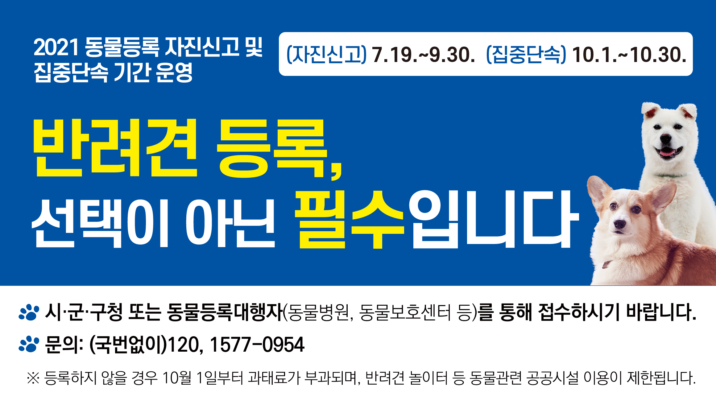 「2021년 동물등록 자진신고 기간 운영」안내(배너) 이미지