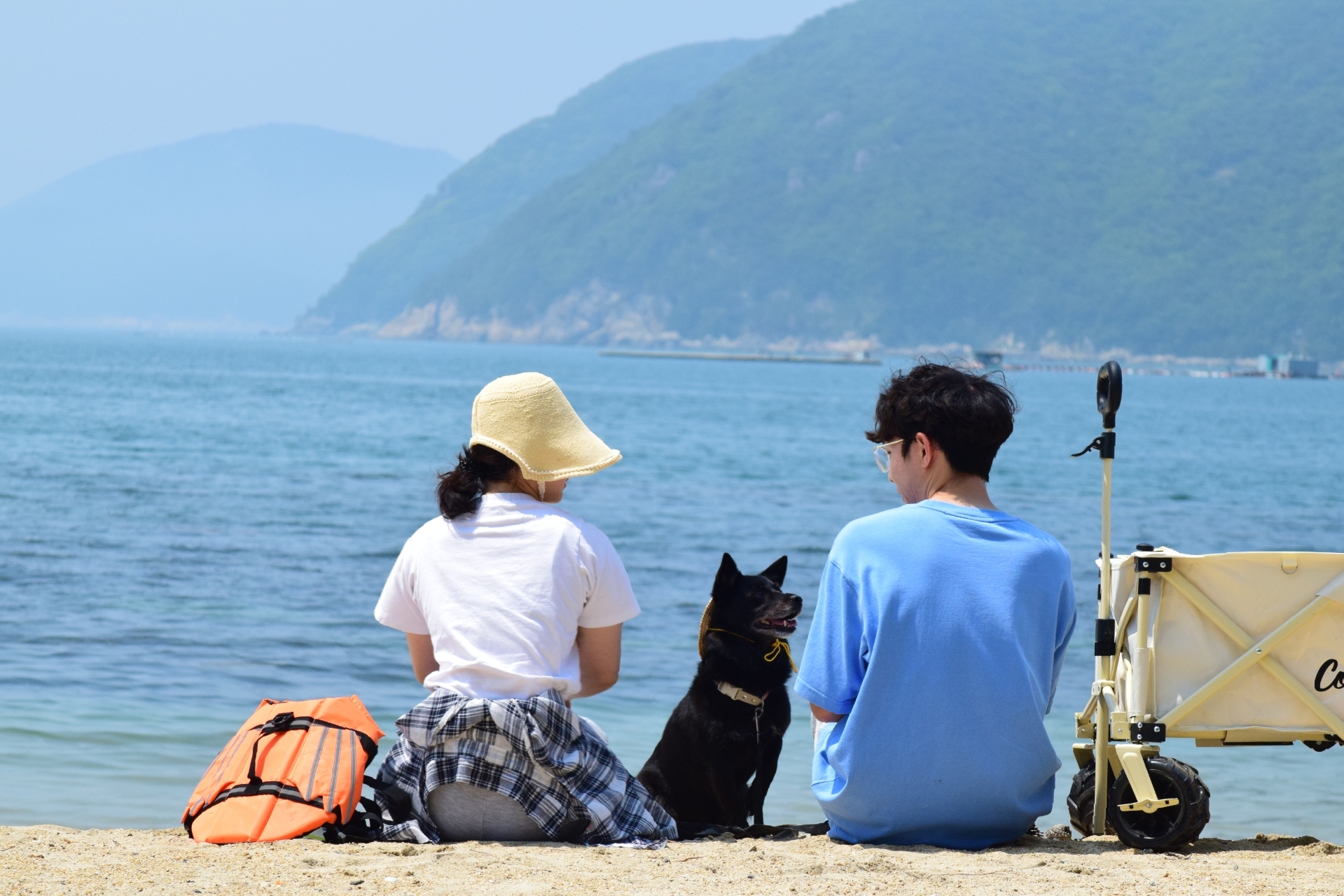 반려동물 해수욕장, < 거제 댕수욕장 > 개장 안내 이미지