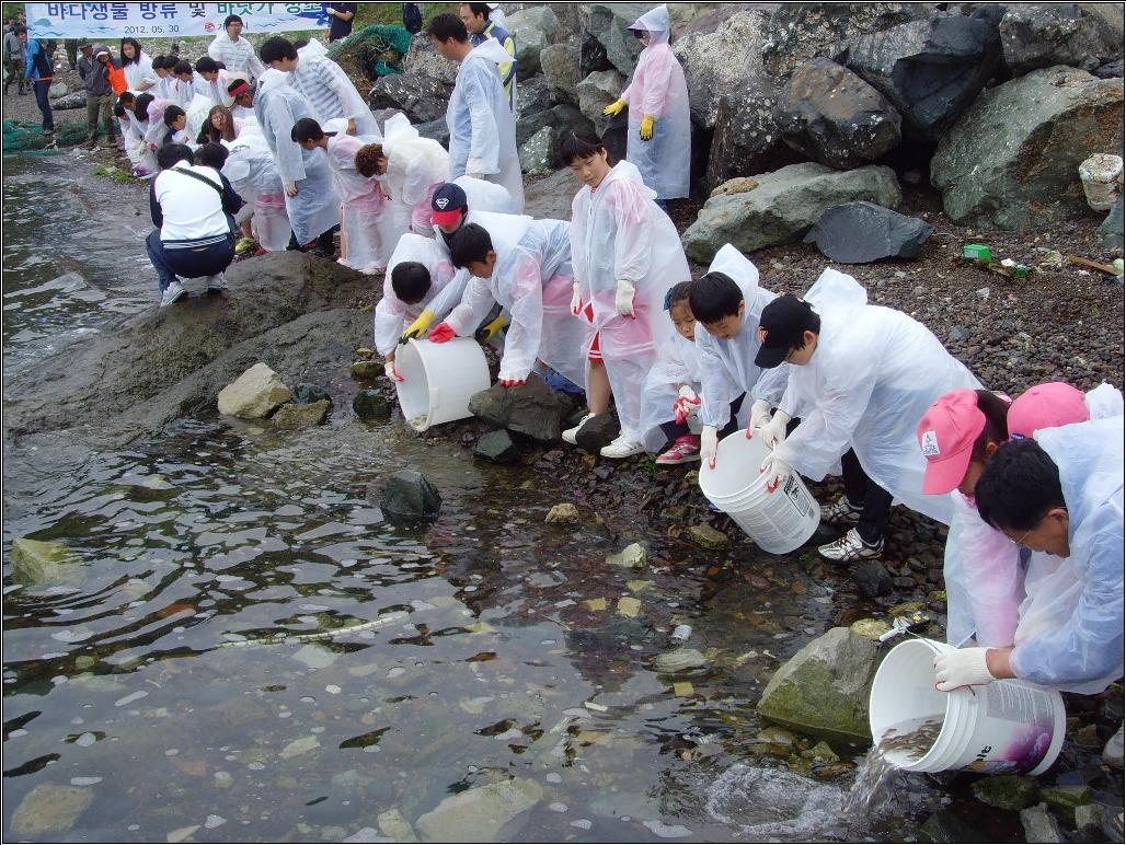 고부가 지역특산 수산종묘(왕밤송이게) 방류 현장 이미지