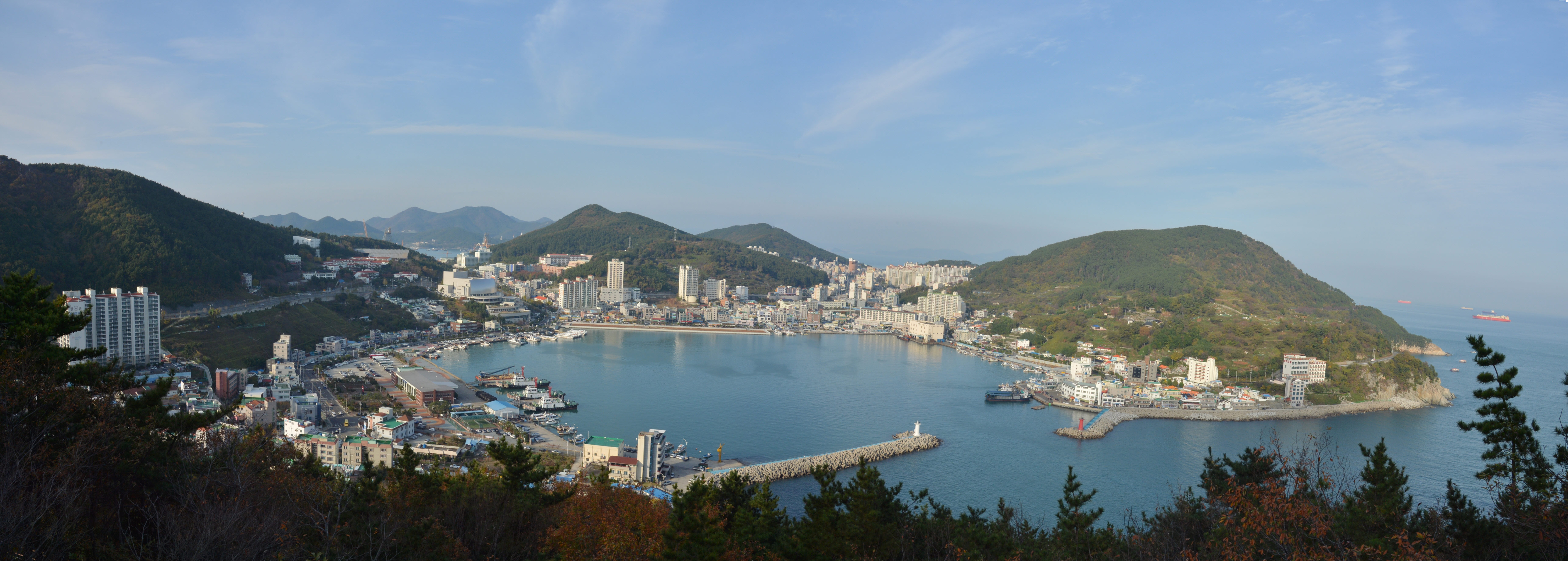 장승포동·마전동 ‘장승포동’으로 통합 현장