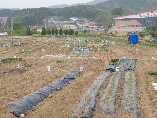 2023년 거제시 도시민 주말농장 참여자 선착순 모집 현장 이미지