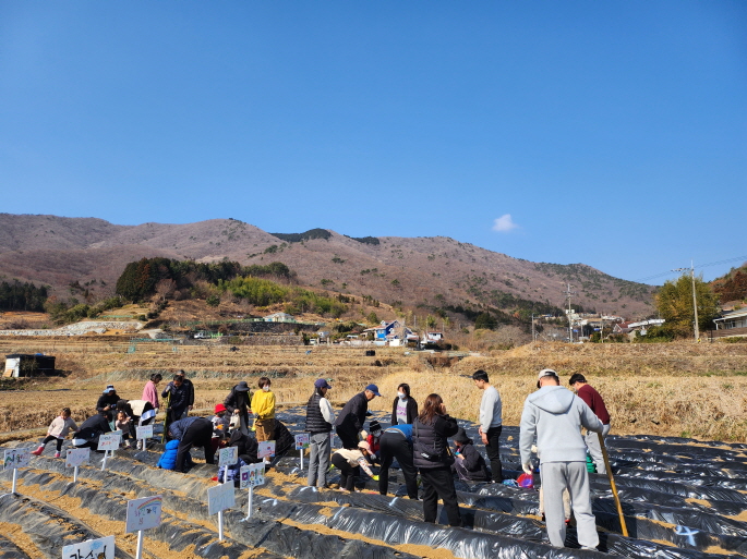 삼거동 청사초롱마을, 도시민과 함께하는 “공유농업” 인기 현장 이미지