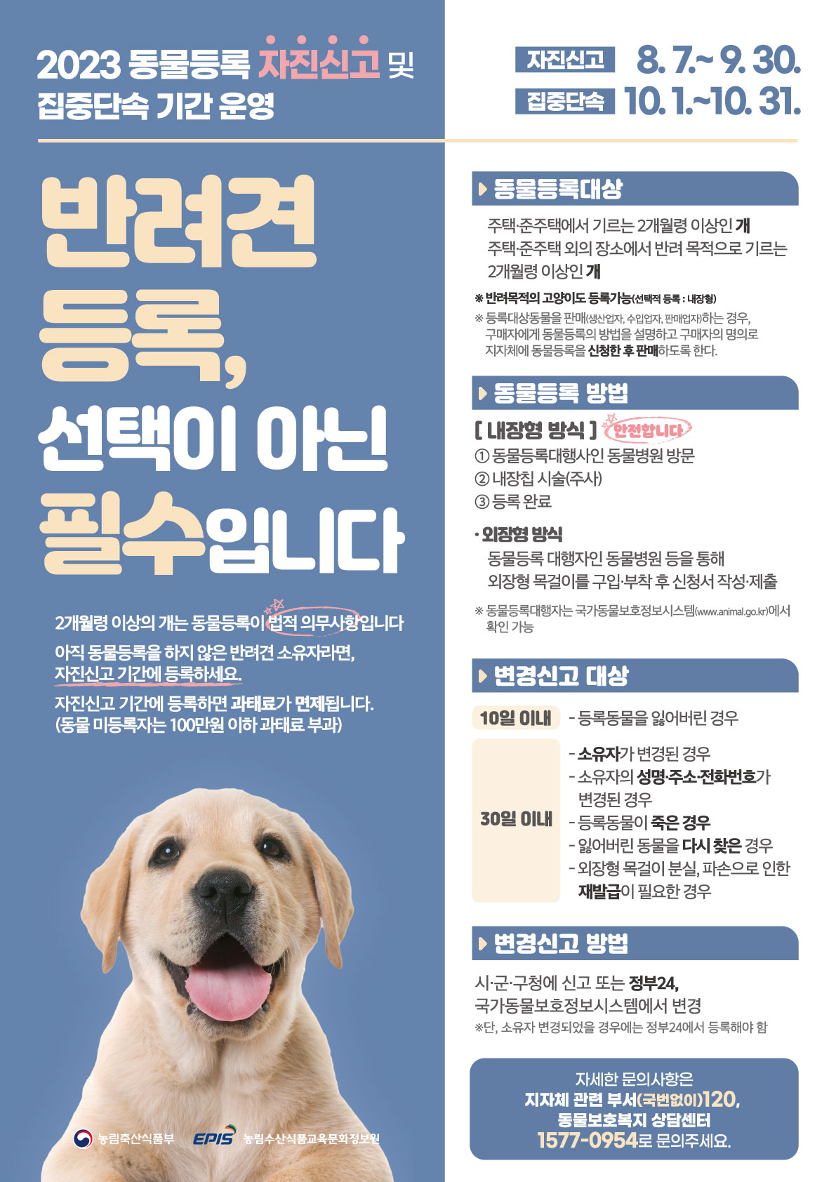동물등록 자진신고 기간 운영 현장 이미지