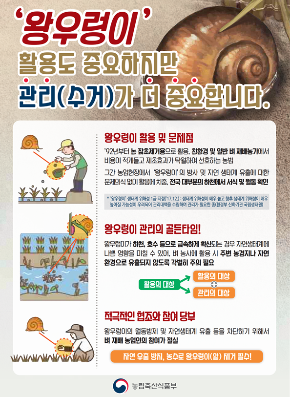 친환경농법 왕우렁이, 활용만큼 수거도 중요 현장 이미지