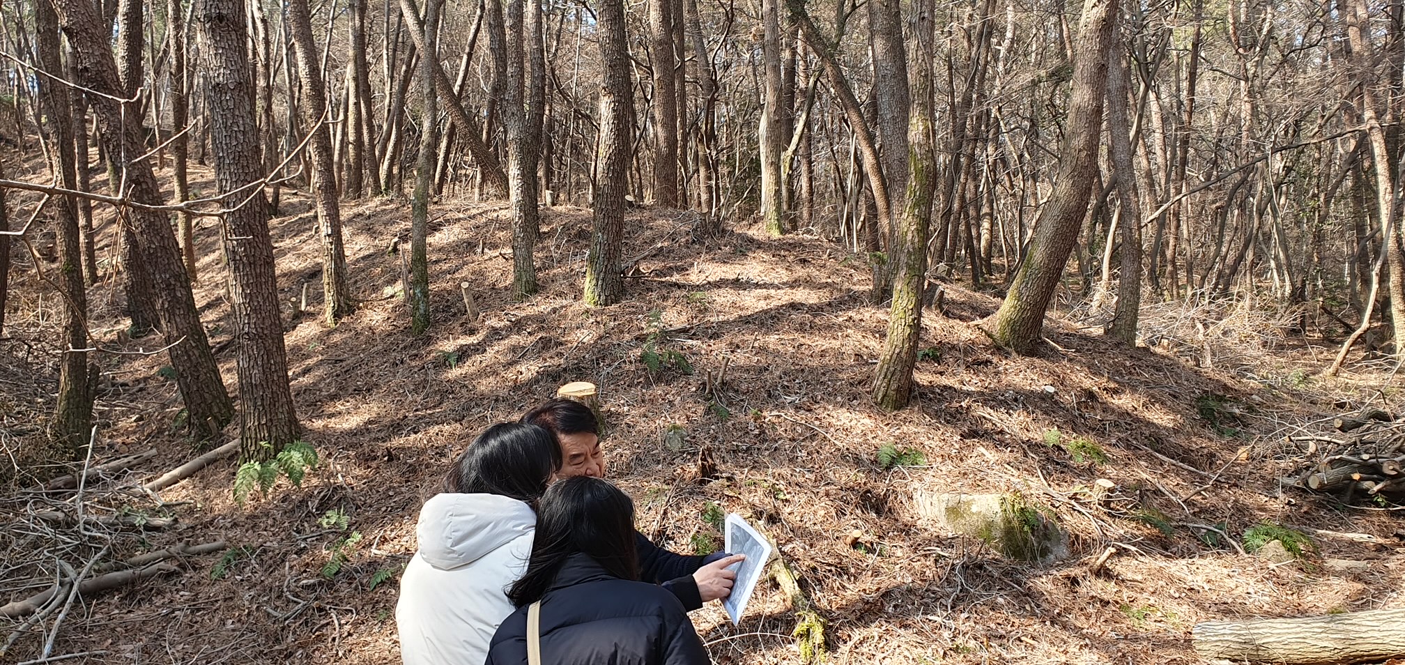 국가 사적 거제 둔덕기성에서 토성 추가 확인 현장 이미지