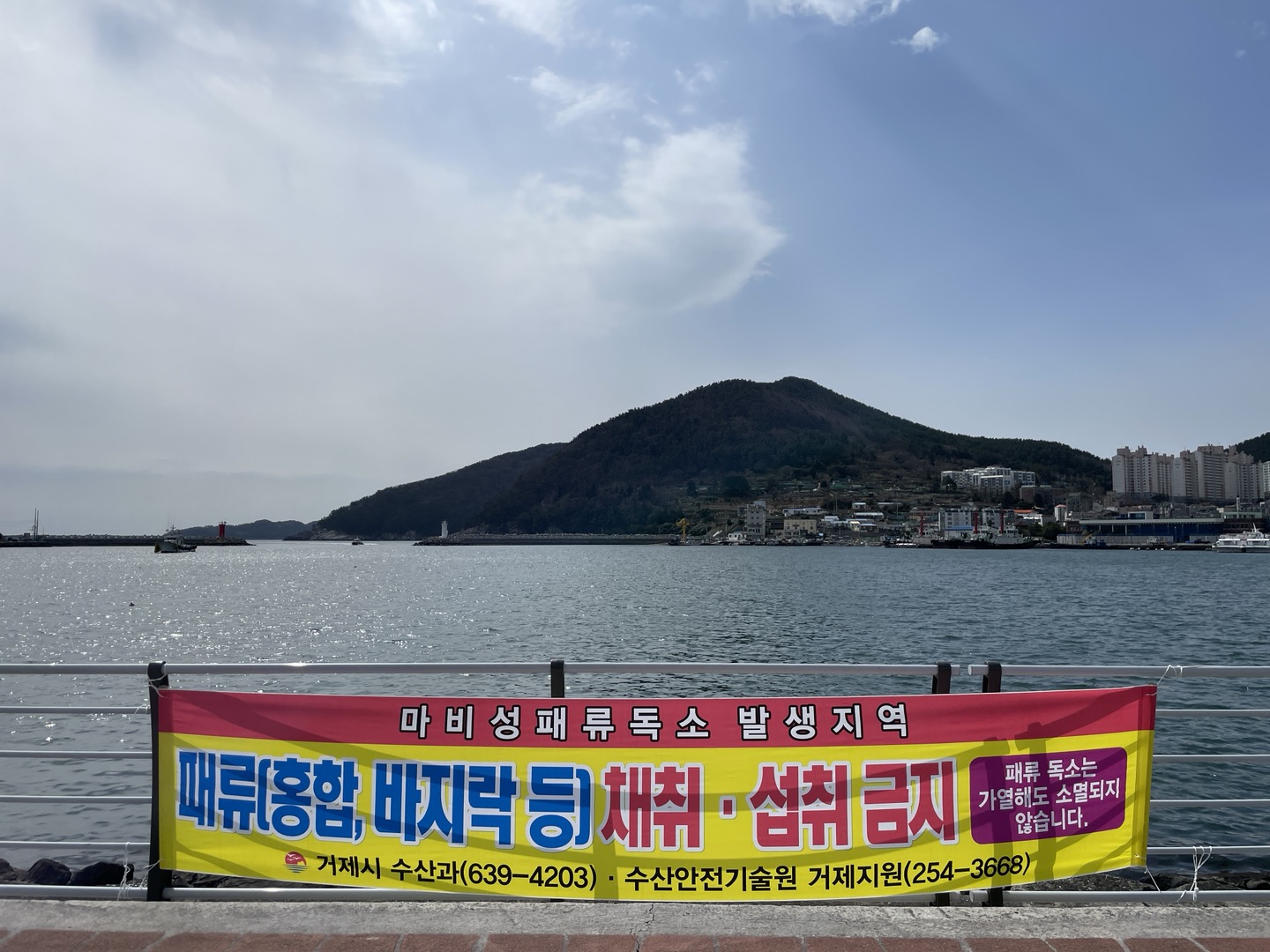 마비성 패류독소 기준치 초과 검출 현장 이미지