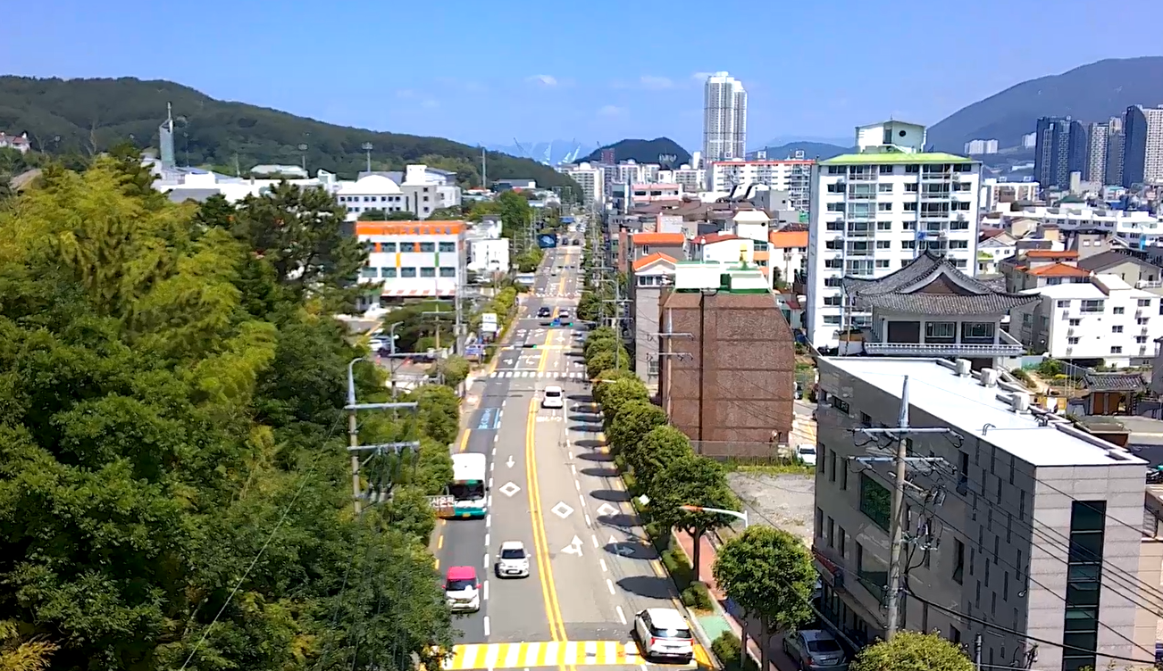 거제시 고현, 옥포지구 은행나무 조형전정사업 시행 현장 이미지