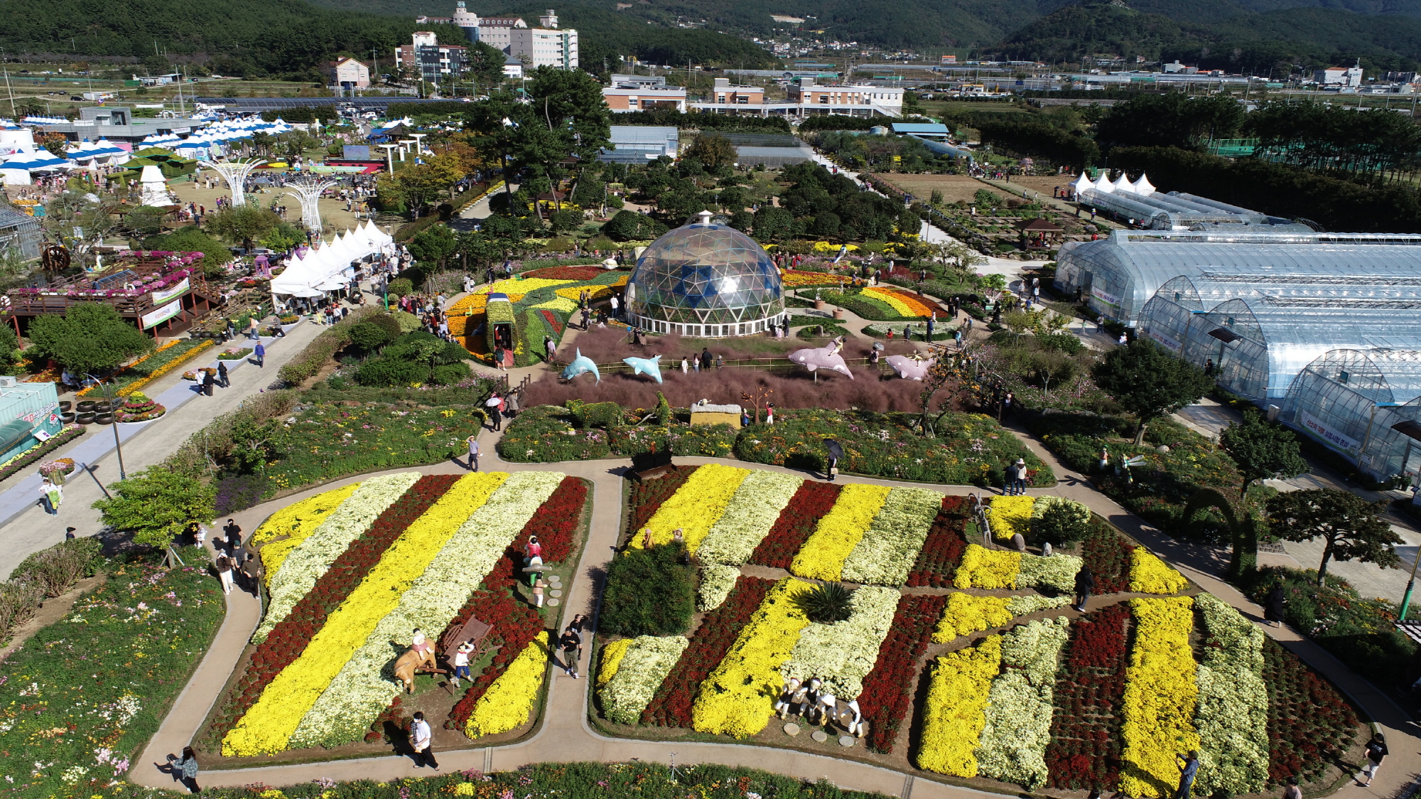 ‘거제섬꽃축제’2025년 경상남도 지역특화축제 선정 현장 이미지