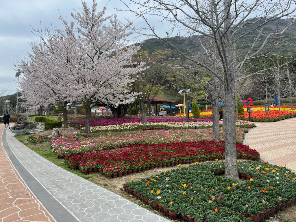 독봉산웰빙공원, 다채로운 봄꽃으로 새단장 마쳐 현장 이미지