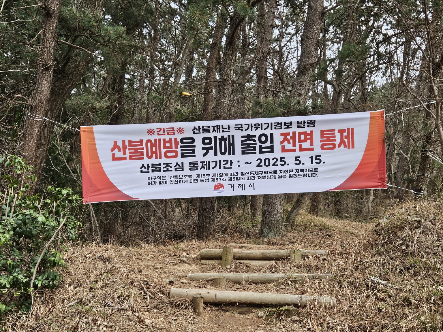 거제시, ‘청명ㆍ한식’ 산불방지 총력, 불법소각 엄단 현장 이미지