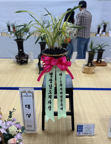 제19회 거제섬꽃축제 국화분재·난 작품 경진대회 개최 현장 이미지