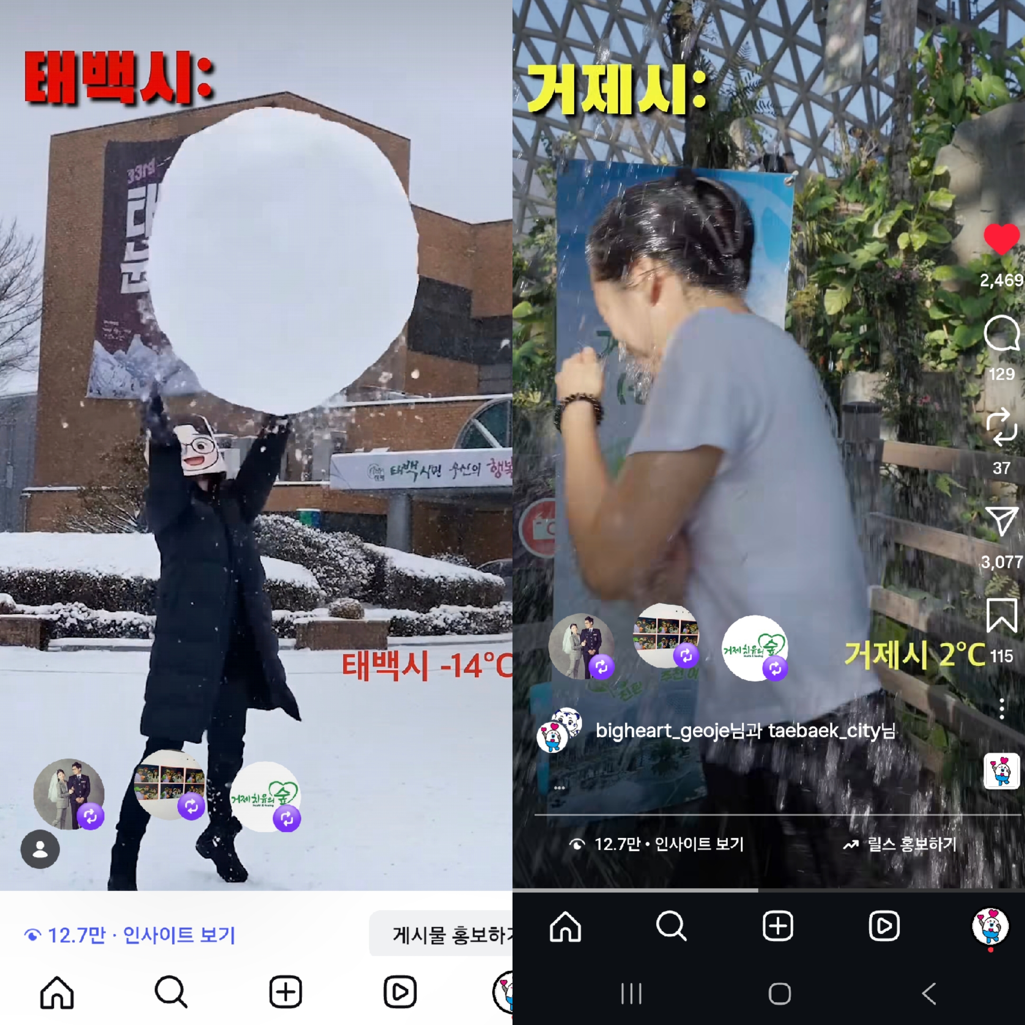 거제시-태백시 콜라보 영상, 하루 만에 10만 뷰 돌파 현장 이미지