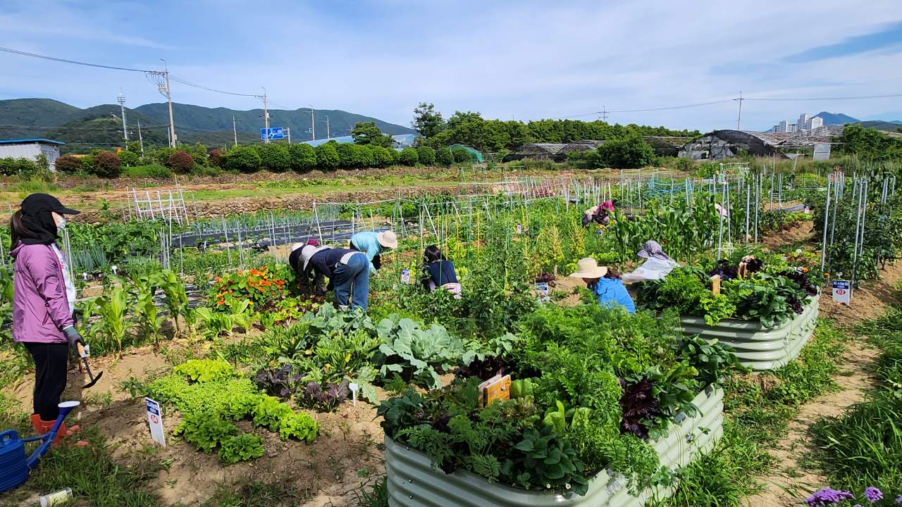2026년 도시농업 기초반, 전문가반 교육생 모집 현장 이미지