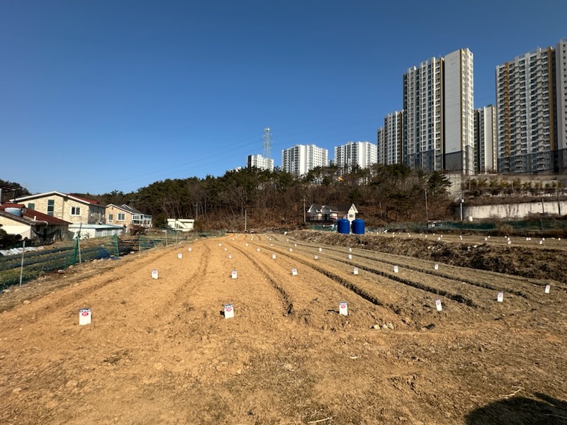 거제시, 2026년 도시민 주말농장 참여자 선착순 모집 현장 이미지
