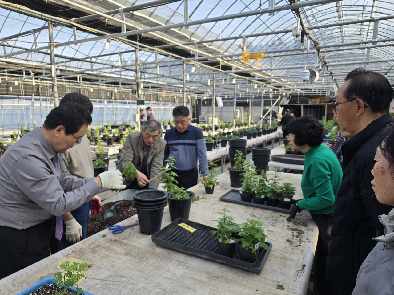 거제시, 제20회 거제섬꽃축제 대비 ‘국화분재 재배기술교육’개강 현장 이미지