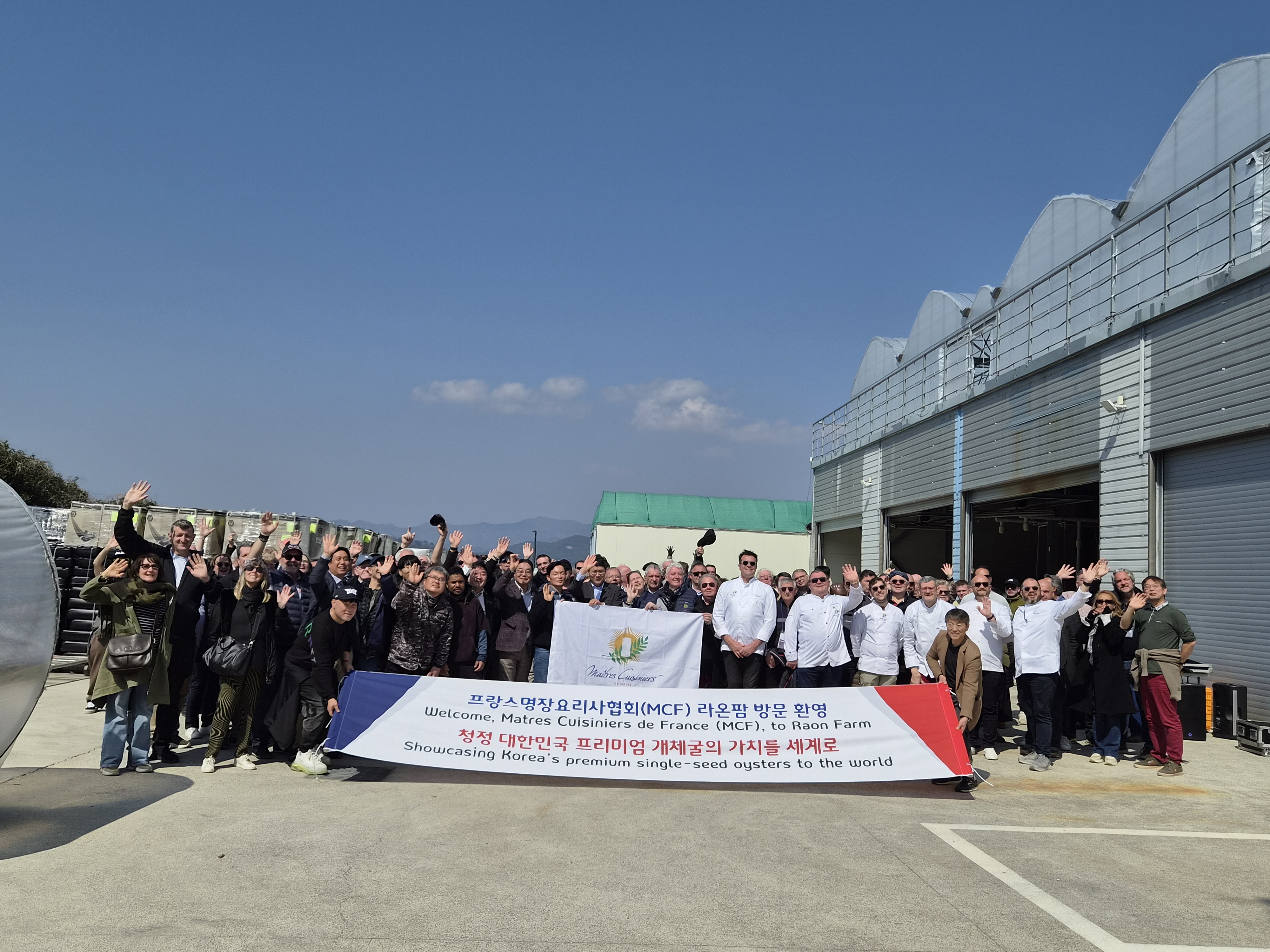 프랑스명장요리사협회(MCF) 셰프 180명, 거제 개체굴 생산 현장 방문 현장 이미지