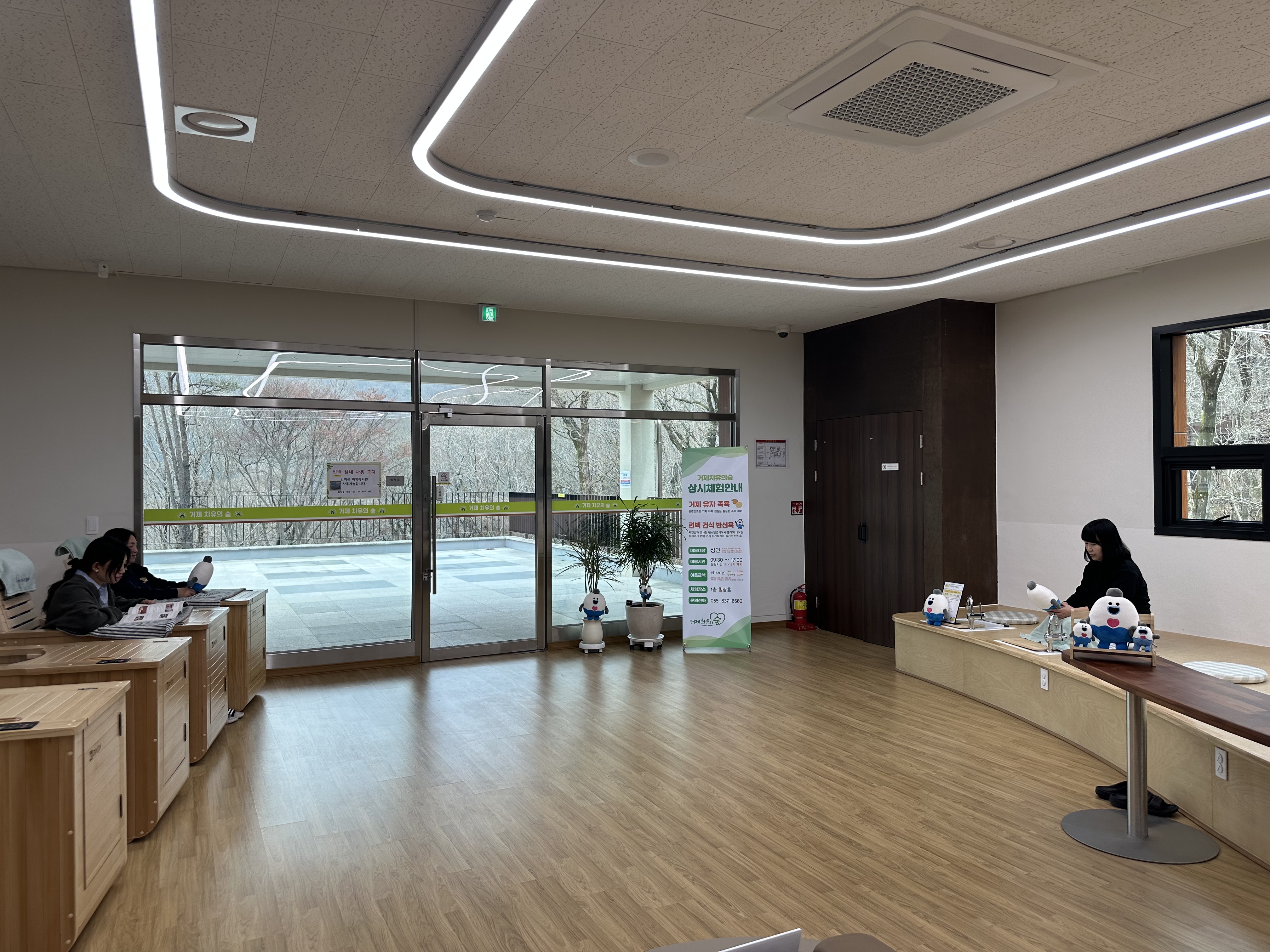 거제 치유의 숲, 2026년 산림치유 프로그램 본격 운영 개시 현장 이미지