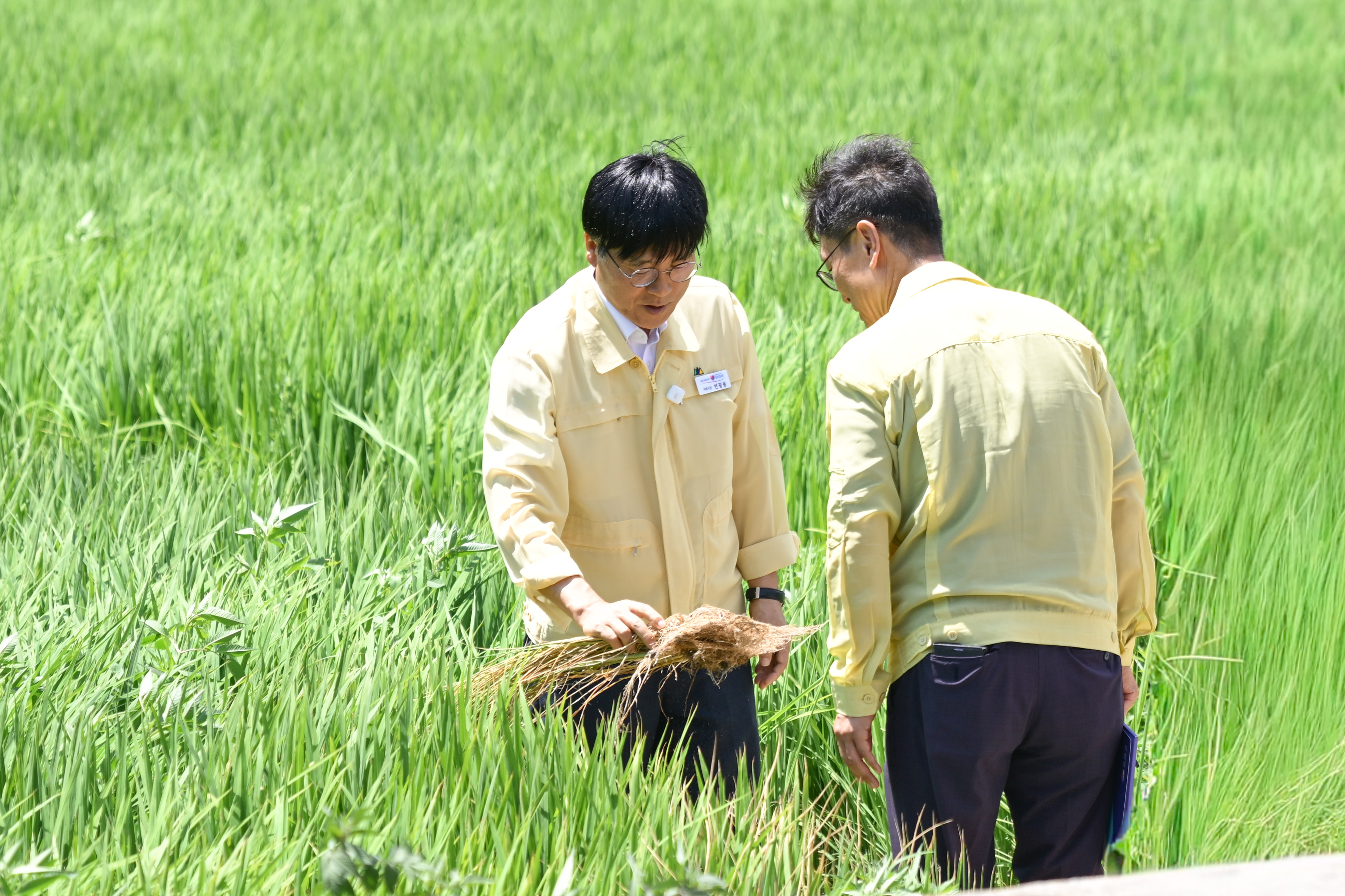 변광용 거제시장, 가뭄 피해 현장 점검... 농업용수 확보 총력 2
