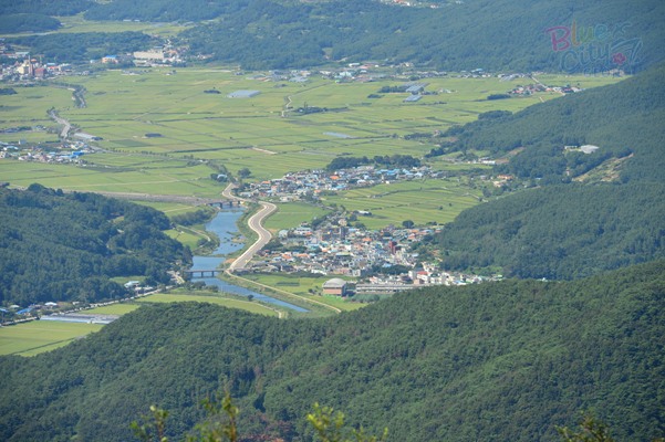 동부면