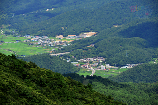 수양동 양정리 전경