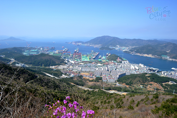 장평동 전경(1)