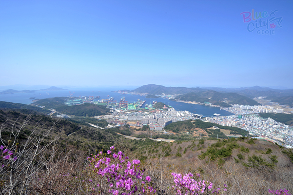 장평동과 중곡동 전경