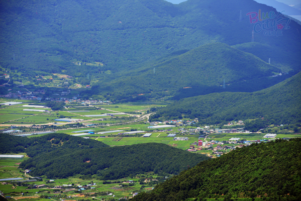 거제면 옥산리 전경(1)