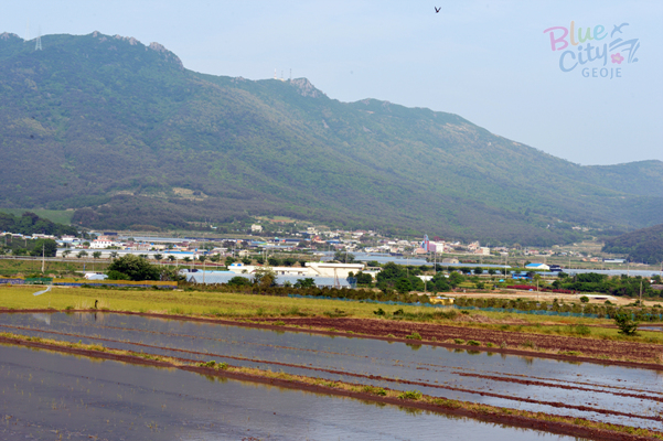 거제면 옥산리 전경(2)