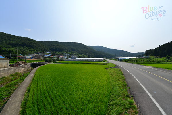 동부면 부춘리 전경(3)