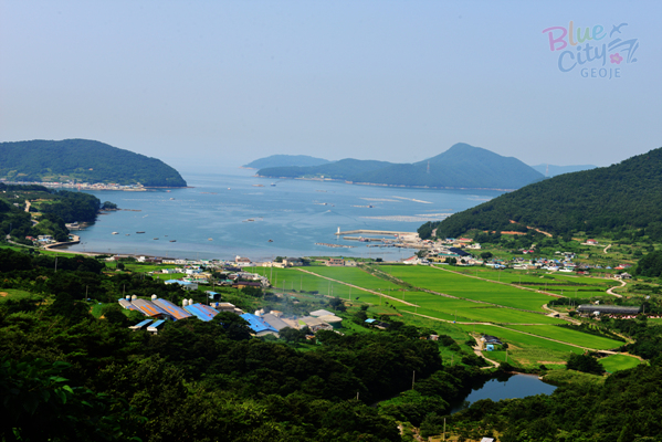 동부면 율포리 전경(1)