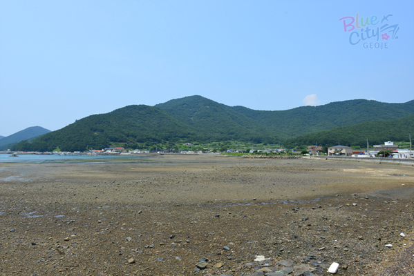 동부면 율포리 전경(3)