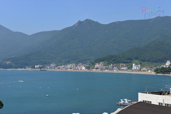 동부면 학동리 전경(2)
