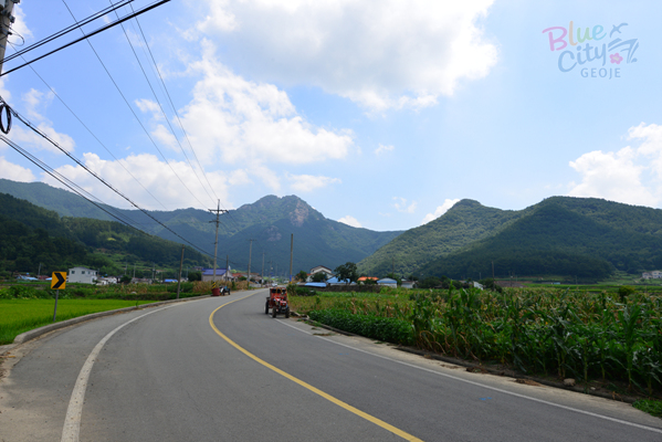 둔덕면 산방리 전경