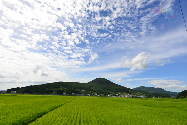 둔덕면 하둔리 전경(2)