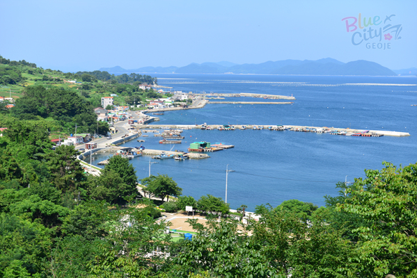 사등면 창호리 전경