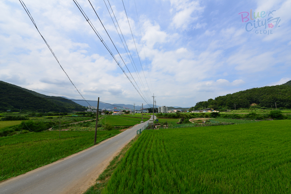 연초면 오비리 전경(2)